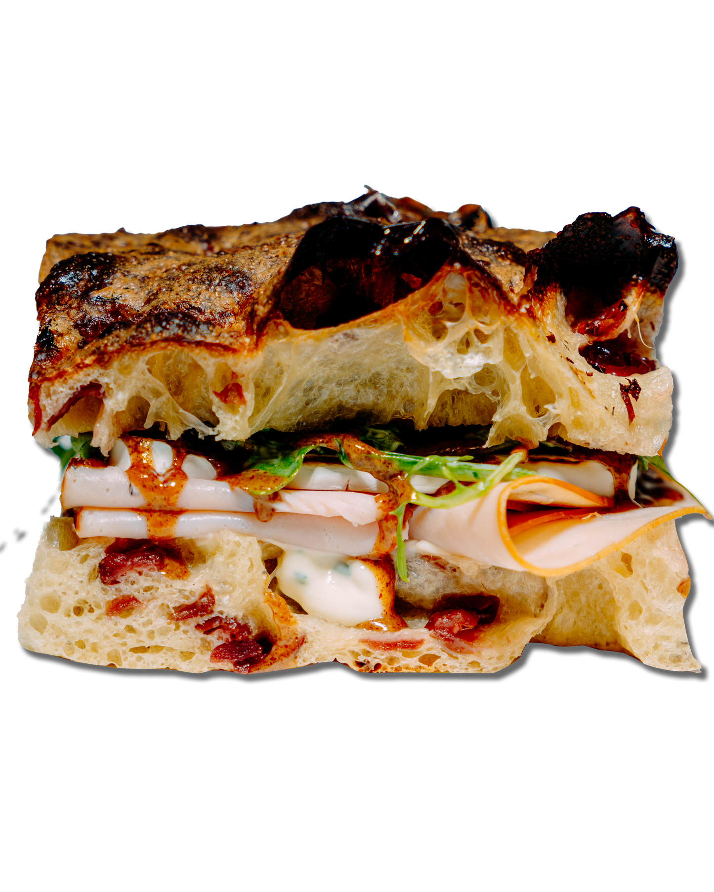 Turkey Cranberry Focaccia Sandwich