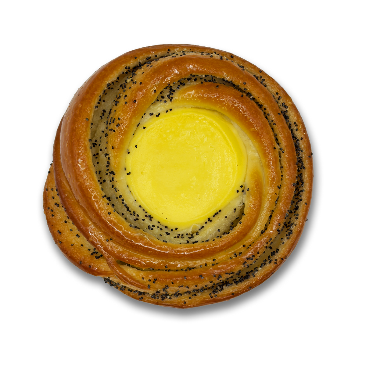 Lemon Poppyseed Bun